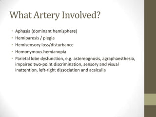What Artery Involved?Aphasia (dominant hemisphere)Hemiparesis / plegiaHemisensoryloss/disturbanceHomonymous hemianopiaParietal lobe dysfunction, e.g. astereognosis, agraphaesthesia, impaired two-point discrimination, sensory and visual inattention, left-right dissociation and acalculia