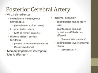 Posterior Cerebral ArteryVisual disturbancescontralateral homonymous hemianopsia(central vision is often spared) L. Hemi: lesions alexia (with or without agraphia) Bilateral lesions: cortical blindness patients unaware they cannot see (Anton's syndrome)Memory impairment if temporal lobe is affected ~Proximal occlusioncontralateral hemisensory loss, spontaneous pain and dysesthesia if thalamus affected (thalamic pain syndrome) contralateral severe proximal chorea (hemiballism) ~