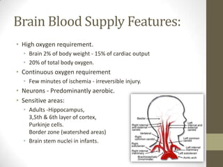 Brain Blood Supply Features:High oxygen requirement. Brain 2% of body weight - 15% of cardiac output 20% of total body oxygen. Continuous oxygen requirementFew minutes of ischemia - irreversible injury. Neurons - Predominantly aerobic.Sensitive areas:Adults -Hippocampus, 3,5th & 6th layer of cortex, Purkinje cells. Border zone (watershed areas)Brain stem nuclei in infants.