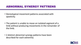 Synergy Patterna