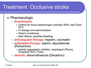 Persantine Injection Nursing Care of Clients with Stroke | PDF