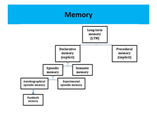 Stroke cognitive deficits and rehabilitation dr venugopal kochiyil | PPTX