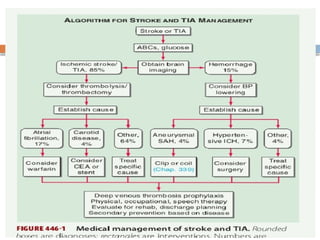 Comprehensive Overview of Cerebrovascular Disease and Stroke Management ...