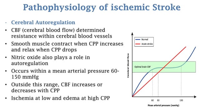 Stroke - Cerebrovascular Accident (CVA) | PDF | Heart and ...