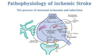 Stroke - Cerebrovascular Accident (CVA) | PDF