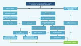 Stroke - Cerebrovascular Accident (CVA) | PDF