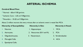 ARTERIAL ISCHEMIA
Cerebral Blood Flow:
Normal – 60cm3
/100 gm/min.
Ischemic Core – 6-8 cm3
/100gm/min.
Penumbra – 10-20 cm3
/100gm/min.
About 2 million neurons die every minute after an ischemic event is vessel like MCA.
Hierarchy of Susceptibility: Hierarchy in Site: Hierarchy inVessel:
1. Neurons 1. Hippocampus. 1. MCA.
2. Astrocytes. 2. Neocortex (III,V andVI). 2. PCA
3. Oligodendrocytes. 3. Neostriatum. 3. Vertebrobasilar.
4. Microglial Cells. 4. ACA.
5. Ependymal Cells.
 
