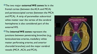 The two major external WS zones lie in the
frontal cortex (between the ACA and MCA)
and parietooccipital cortex (between the MCA
and PCA). A strip of paramedian subcortical
white matter near the vertex of the cerebral
hemispheres is also considered part of the
externalWS.
The internal WS zones represent the
junctions between penetrating branches (e.g.,
lenticulostriate arteries, medullary white
matter perforating arteries, and anterior
choroidal branches) and the major cerebral
vessels (MCA ,ACA, and PCA).
 