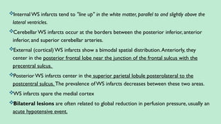 Internal WS infarcts tend to "line up" in the white matter, parallel to and slightly above the
lateral ventricles.
CerebellarWS infarcts occur at the borders between the posterior inferior, anterior
inferior, and superior cerebellar arteries.
External (cortical) WS infarcts show a bimodal spatial distribution.Anteriorly, they
center in the posterior frontal lobe near the junction of the frontal sulcus with the
precentral sulcus.
PosteriorWS infarcts center in the superior parietal lobule posterolateral to the
postcentral sulcus. The prevalence of WS infarcts decreases between these two areas.
WS infarcts spare the medial cortex
Bilateral lesions are often related to global reduction in perfusion pressure, usually an
acute hypotensive event.
 