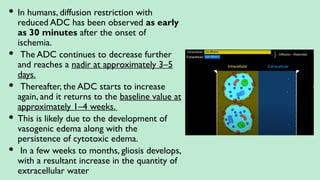  In humans, diffusion restriction with
reduced ADC has been observed as early
as 30 minutes after the onset of
ischemia.
 The ADC continues to decrease further
and reaches a nadir at approximately 3–5
days.
 Thereafter, the ADC starts to increase
again, and it returns to the baseline value at
approximately 1–4 weeks.
 This is likely due to the development of
vasogenic edema along with the
persistence of cytotoxic edema.
 In a few weeks to months, gliosis develops,
with a resultant increase in the quantity of
extracellular water
 