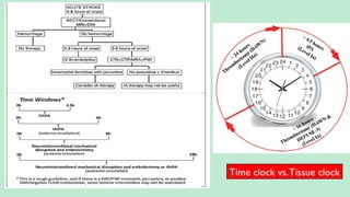 Time clock vs.Tissue clock
 