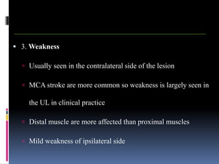  3. Weakness
 Usually seen in the contralateral side of the lesion
 MCA stroke are more common so weakness is largely seen in
the UL in clinical practice
 Distal muscle are more affected than proximal muscles
 Mild weakness of ipsilateral side
 