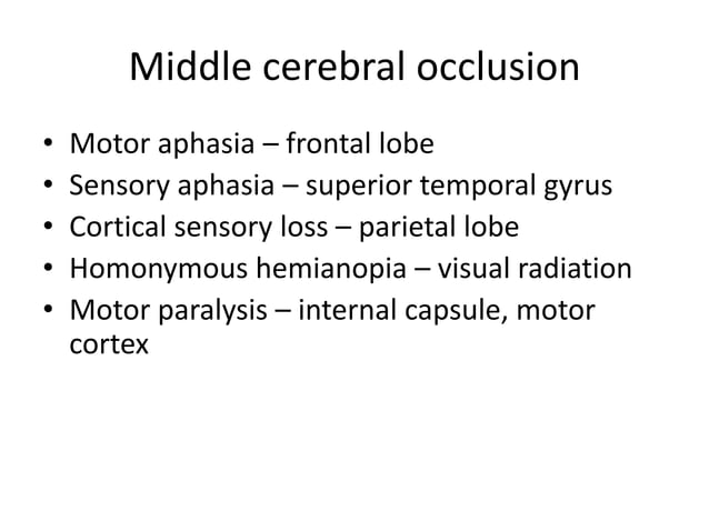 Stroke localization | PPTX | Blood Disorders | Diseases and Conditions