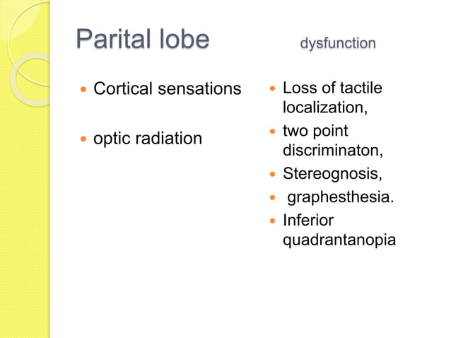 Stroke localization by Dr. Md. firoz | PPTX | Brain and Nervous System ...