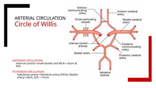 Stroke (Natural History, Progression).pptx