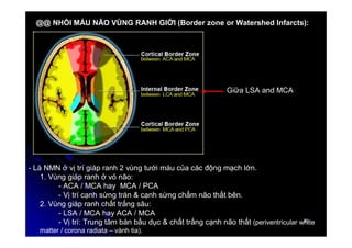 20
20
@@ NHỒI MÁU NÃO VÙNG RANH GIỚI (Border zone or Watershed Infarcts):
- Là NMN ở vị trí giáp ranh 2 vùng tưới máu của các động mạch lớn.
1. Vùng giáp ranh ở vỏ não:
- ACA / MCA hay MCA / PCA
- Vị trí cạnh sừng trán & cạnh sừng chẩm não thất bên.
2. Vùng giáp ranh chất trắng sâu:
- LSA / MCA hay ACA / MCA
- Vị trí: Trung tâm bán bầu dục & chất trắng cạnh não thất (periventricular white
matter / corona radiata – vành tia).
Giữa LSA and MCA
 