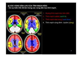 31
31
@ CÁC VÙNG DẪN LƯU CỦA TĨNH MẠCH NÃO:
- Có sự biến thể rất lớn trong các vùng dẫn lưu tĩnh mạch.
1. Xoang tĩnh mạch dọc trên (đỏ)
2. Tĩnh mạch Labbé (xanh lá)
3. Tĩnh mạch não trong (xanh blue)
4. Tĩnh mạch vùng đính - bướm (vàng)
 