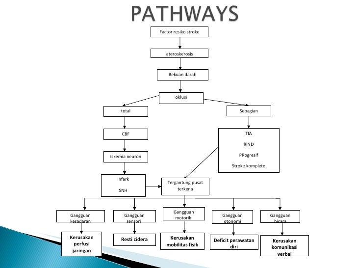Contoh Askep Stroke Infark - Simak Gambar Berikut