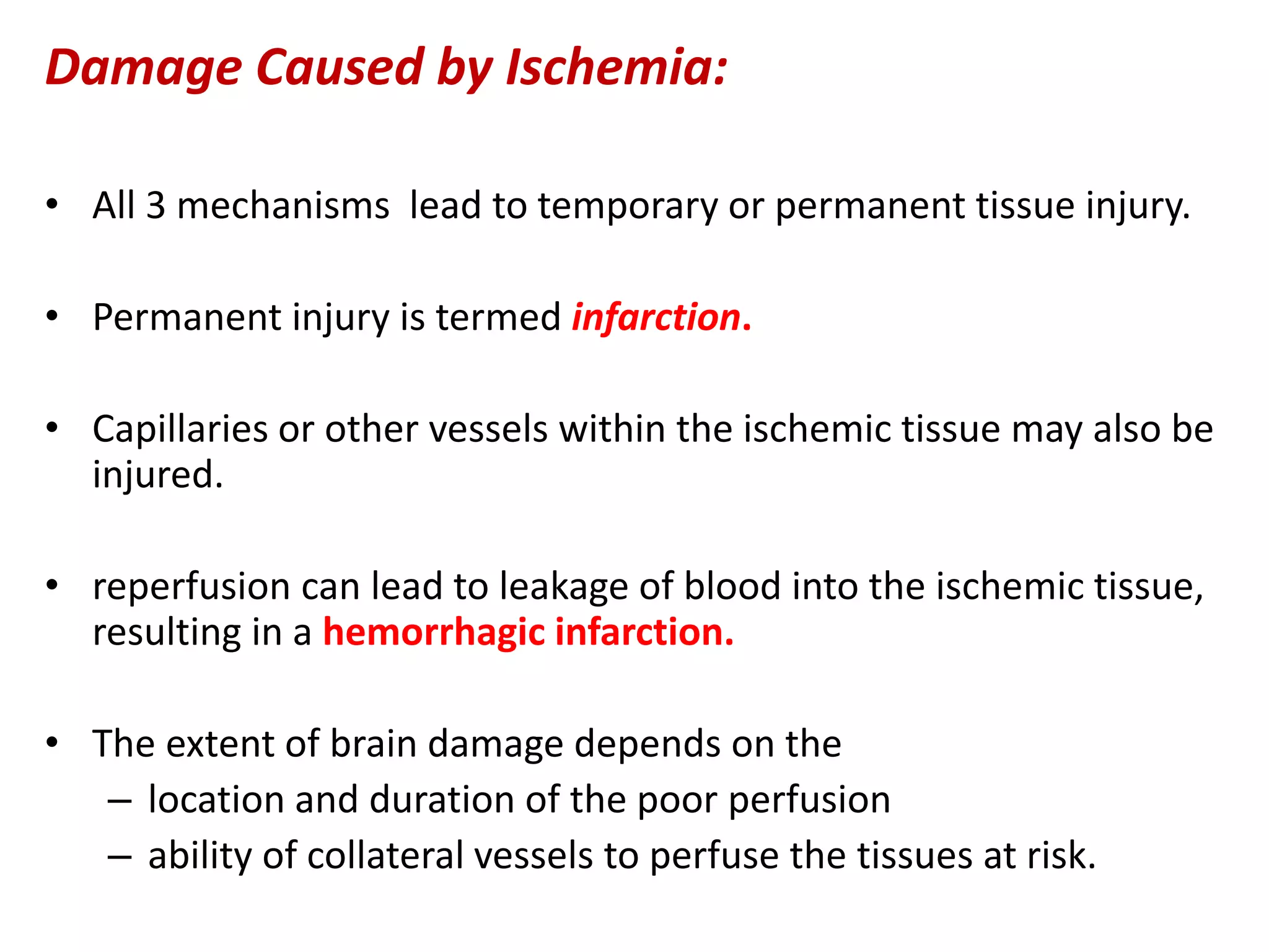 Damage Caused by Ischemia:
• All 3 mechanisms lead to temporary or permanent tissue injury.
• Permanent injury is termed infarction.
• Capillaries or other vessels within the ischemic tissue may also be
injured.
• reperfusion can lead to leakage of blood into the ischemic tissue,
resulting in a hemorrhagic infarction.
• The extent of brain damage depends on the
– location and duration of the poor perfusion
– ability of collateral vessels to perfuse the tissues at risk.
 
