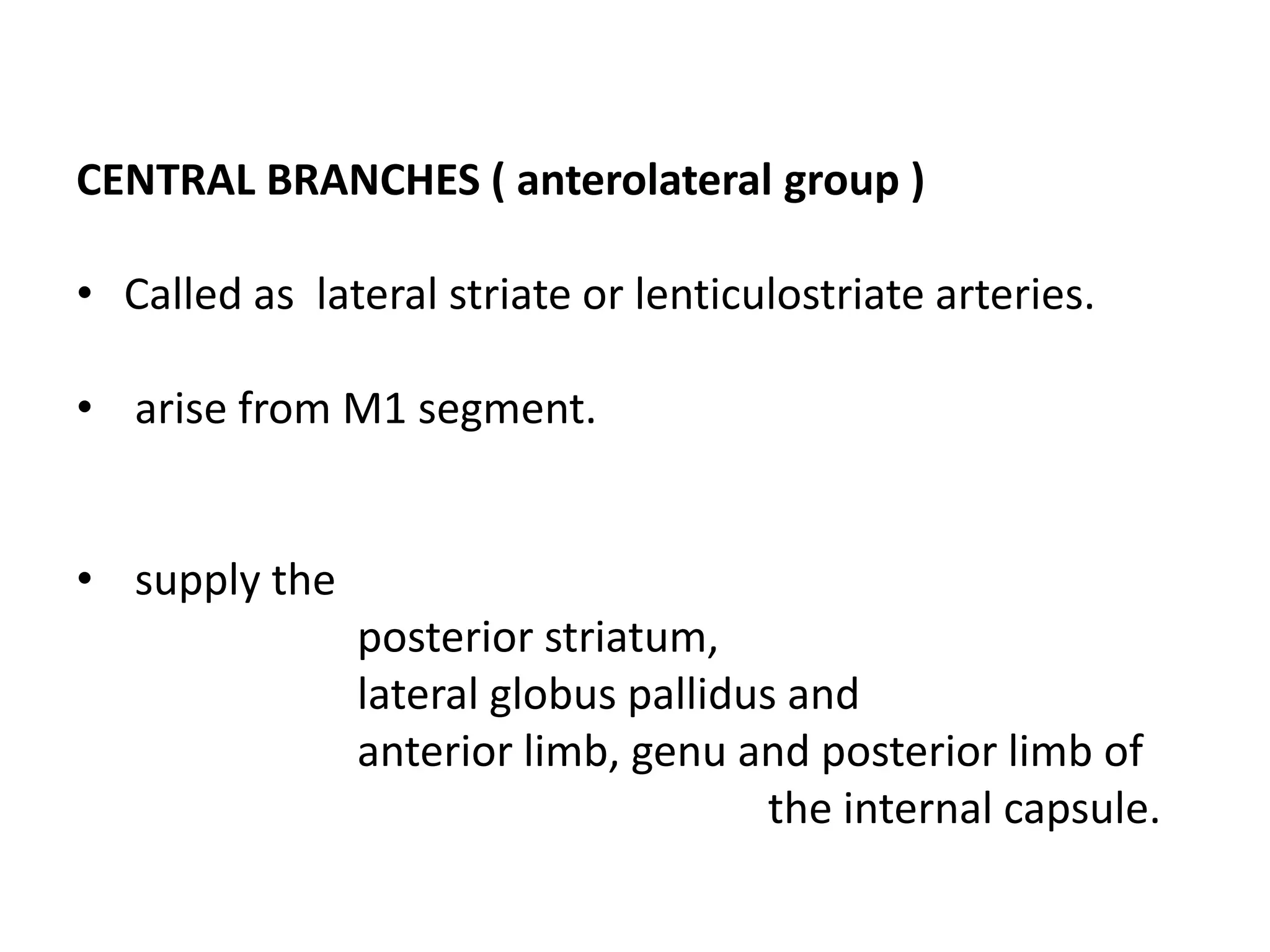 CENTRAL BRANCHES ( anterolateral group )
• Called as lateral striate or lenticulostriate arteries.
• arise from M1 segment.
• supply the
posterior striatum,
lateral globus pallidus and
anterior limb, genu and posterior limb of
the internal capsule.
 