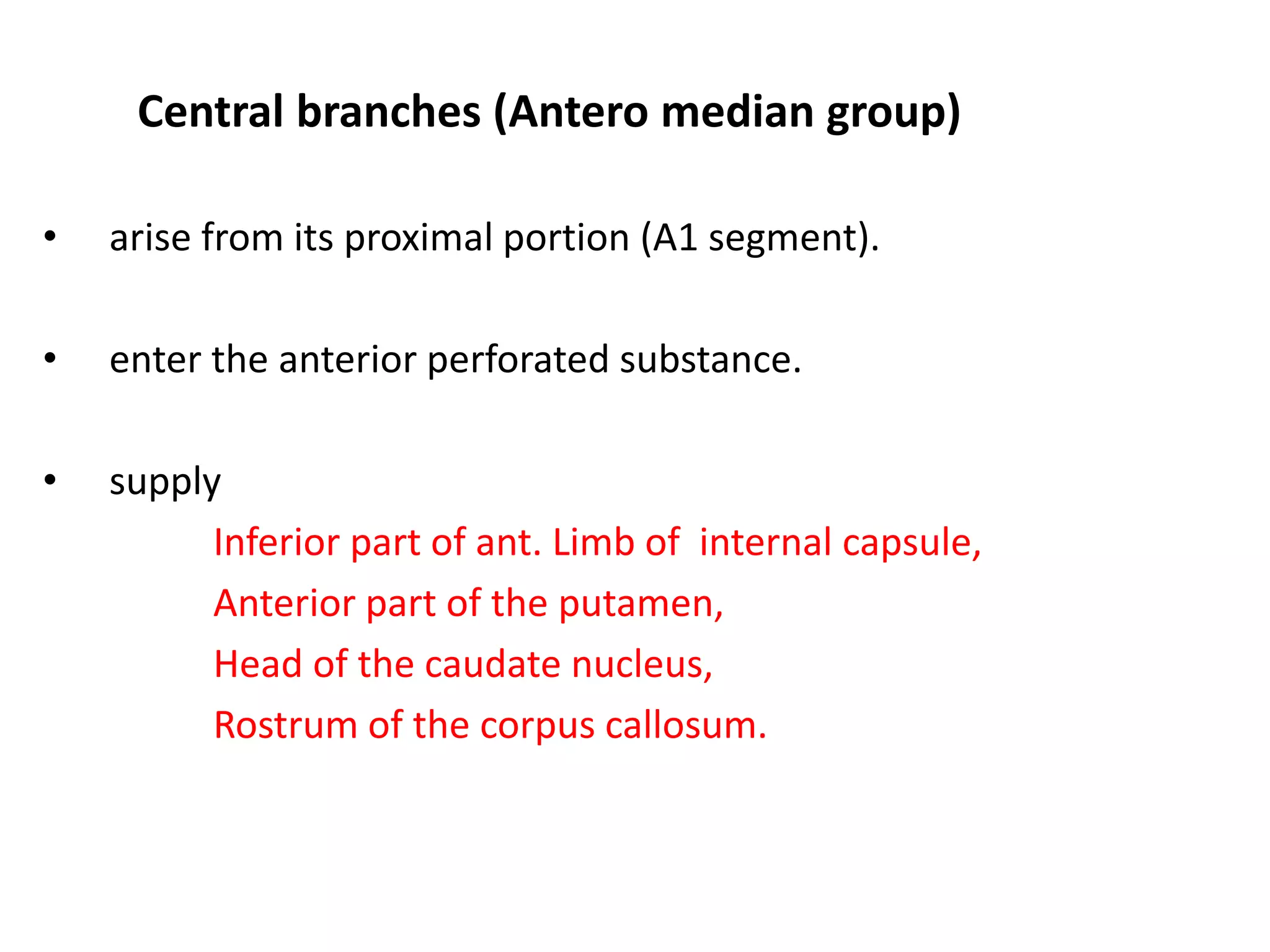 Central branches (Antero median group)
• arise from its proximal portion (A1 segment).
• enter the anterior perforated substance.
• supply
Inferior part of ant. Limb of internal capsule,
Anterior part of the putamen,
Head of the caudate nucleus,
Rostrum of the corpus callosum.
 
