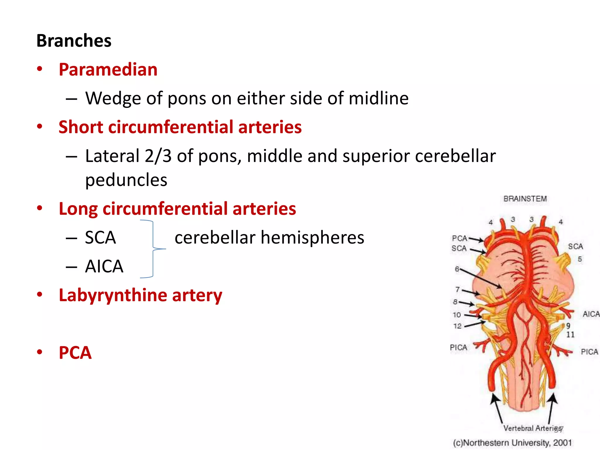 Branches
• Paramedian
– Wedge of pons on either side of midline
• Short circumferential arteries
– Lateral 2/3 of pons, middle and superior cerebellar
peduncles
• Long circumferential arteries
– SCA cerebellar hemispheres
– AICA
• Labyrynthine artery
• PCA
37
 
