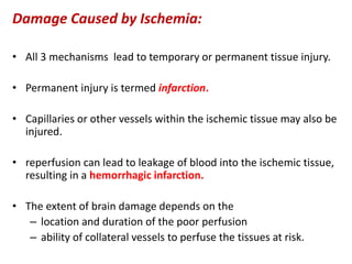 Damage Caused by Ischemia:
• All 3 mechanisms lead to temporary or permanent tissue injury.
• Permanent injury is termed infarction.
• Capillaries or other vessels within the ischemic tissue may also be
injured.
• reperfusion can lead to leakage of blood into the ischemic tissue,
resulting in a hemorrhagic infarction.
• The extent of brain damage depends on the
– location and duration of the poor perfusion
– ability of collateral vessels to perfuse the tissues at risk.
 