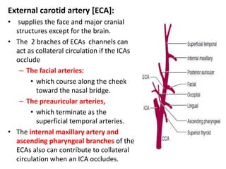 External carotid artery [ECA]:
• supplies the face and major cranial
structures except for the brain.
• The 2 braches of ECAs channels can
act as collateral circulation if the ICAs
occlude
– The facial arteries:
• which course along the cheek
toward the nasal bridge.
– The preauricular arteries,
• which terminate as the
superficial temporal arteries.
• The internal maxillary artery and
ascending pharyngeal branches of the
ECAs also can contribute to collateral
circulation when an ICA occludes.
 