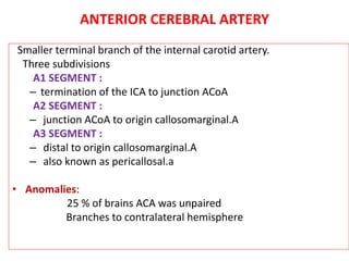 ANTERIOR CEREBRAL ARTERY
Smaller terminal branch of the internal carotid artery.
Three subdivisions
A1 SEGMENT :
– termination of the ICA to junction ACoA
A2 SEGMENT :
– junction ACoA to origin callosomarginal.A
A3 SEGMENT :
– distal to origin callosomarginal.A
– also known as pericallosal.a
• Anomalies:
25 % of brains ACA was unpaired
Branches to contralateral hemisphere
 