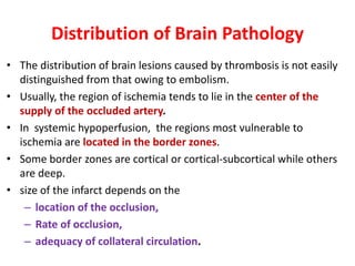 Distribution of Brain Pathology
• The distribution of brain lesions caused by thrombosis is not easily
distinguished from that owing to embolism.
• Usually, the region of ischemia tends to lie in the center of the
supply of the occluded artery.
• In systemic hypoperfusion, the regions most vulnerable to
ischemia are located in the border zones.
• Some border zones are cortical or cortical-subcortical while others
are deep.
• size of the infarct depends on the
– location of the occlusion,
– Rate of occlusion,
– adequacy of collateral circulation.
 