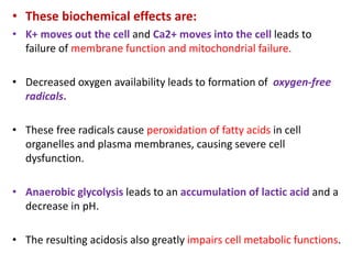 • These biochemical effects are:
• K+ moves out the cell and Ca2+ moves into the cell leads to
failure of membrane function and mitochondrial failure.
• Decreased oxygen availability leads to formation of oxygen-free
radicals.
• These free radicals cause peroxidation of fatty acids in cell
organelles and plasma membranes, causing severe cell
dysfunction.
• Anaerobic glycolysis leads to an accumulation of lactic acid and a
decrease in pH.
• The resulting acidosis also greatly impairs cell metabolic functions.
 