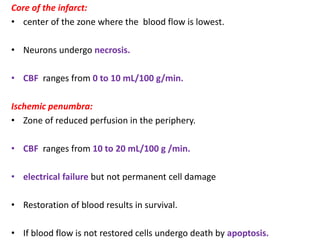 Core of the infarct:
• center of the zone where the blood flow is lowest.
• Neurons undergo necrosis.
• CBF ranges from 0 to 10 mL/100 g/min.
Ischemic penumbra:
• Zone of reduced perfusion in the periphery.
• CBF ranges from 10 to 20 mL/100 g /min.
• electrical failure but not permanent cell damage
• Restoration of blood results in survival.
• If blood flow is not restored cells undergo death by apoptosis.
 