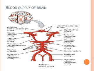 BLOOD SUPPLY OF BRAIN
 
