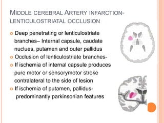 MIDDLE CEREBRAL ARTERY INFARCTION-
LENTICULOSTRIATAL OCCLUSION
 Deep penetrating or lenticulostriate
branches– Internal capsule, caudate
nuclues, putamen and outer pallidus
 Occlusion of lenticulostriate branches-
 If ischemia of internal capsule produces
pure motor or sensorymotor stroke
contralateral to the side of lesion
 If ischemia of putamen, pallidus-
predominantly parkinsonian features
 