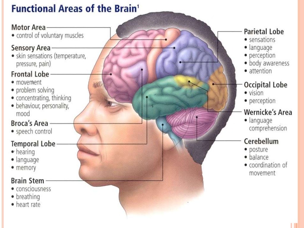 stroke-ppt
