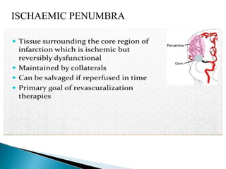 ISCHAEMIC PENUMBRA
 