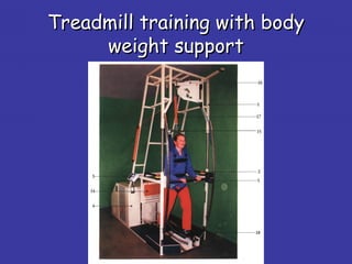 Treadmill training with bodyTreadmill training with body
weight supportweight support
 