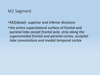 M2 Segment
•M2(distal)- superior and inferior divisions-
•the entire superolateral surface of frontal and
parietal lobe except frontal pole, strip along the
superomedial frontal and parietal cortex, occipital
lobe convolutions and medial temporal cortex
 