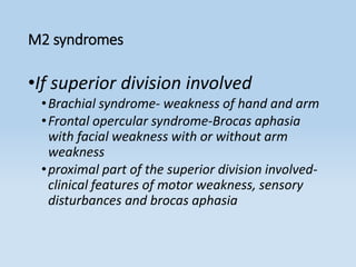 M2 syndromes
•If superior division involved
•Brachial syndrome- weakness of hand and arm
•Frontal opercular syndrome-Brocas aphasia
with facial weakness with or without arm
weakness
•proximal part of the superior division involved-
clinical features of motor weakness, sensory
disturbances and brocas aphasia
 