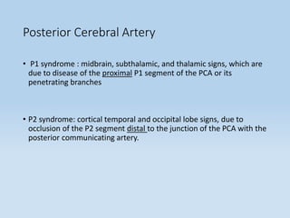Posterior Cerebral Artery
• P1 syndrome : midbrain, subthalamic, and thalamic signs, which are
due to disease of the proximal P1 segment of the PCA or its
penetrating branches
• P2 syndrome: cortical temporal and occipital lobe signs, due to
occlusion of the P2 segment distal to the junction of the PCA with the
posterior communicating artery.
 