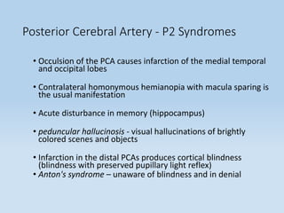 Posterior Cerebral Artery - P2 Syndromes
• Occulsion of the PCA causes infarction of the medial temporal
and occipital lobes
• Contralateral homonymous hemianopia with macula sparing is
the usual manifestation
• Acute disturbance in memory (hippocampus)
• peduncular hallucinosis - visual hallucinations of brightly
colored scenes and objects
• Infarction in the distal PCAs produces cortical blindness
(blindness with preserved pupillary light reflex)
• Anton's syndrome – unaware of blindness and in denial
 