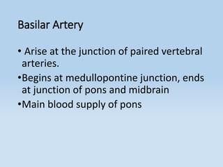 Basilar Artery
• Arise at the junction of paired vertebral
arteries.
•Begins at medullopontine junction, ends
at junction of pons and midbrain
•Main blood supply of pons
 