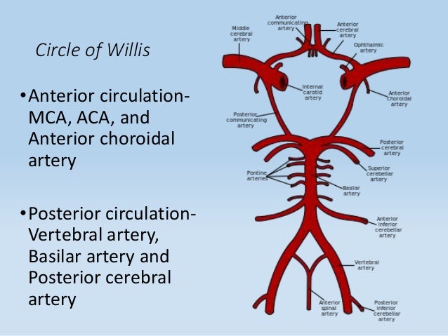 stroke syndromes