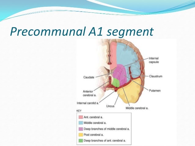 stroke syndromes