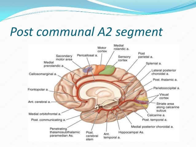 stroke syndromes