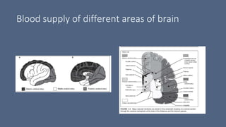 Blood supply of different areas of brain
 