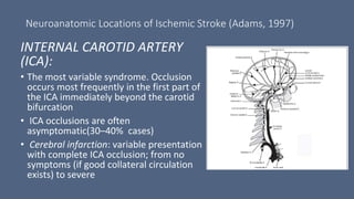 Neuroanatomic Locations of Ischemic Stroke (Adams, 1997)
INTERNAL CAROTID ARTERY
(ICA):
• The most variable syndrome. Occlusion
occurs most frequently in the first part of
the ICA immediately beyond the carotid
bifurcation
• ICA occlusions are often
asymptomatic(30–40% cases)
• Cerebral infarction: variable presentation
with complete ICA occlusion; from no
symptoms (if good collateral circulation
exists) to severe
 