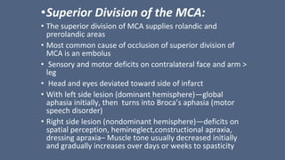 •Superior Division of the MCA:
• The superior division of MCA supplies rolandic and
prerolandic areas
• Most common cause of occlusion of superior division of
MCA is an embolus
• Sensory and motor deficits on contralateral face and arm >
leg
• Head and eyes deviated toward side of infarct
• With left side lesion (dominant hemisphere)—global
aphasia initially, then turns into Broca’s aphasia (motor
speech disorder)
• Right side lesion (nondominant hemisphere)—deficits on
spatial perception, hemineglect,constructional apraxia,
dressing apraxia– Muscle tone usually decreased initially
and gradually increases over days or weeks to spasticity
 