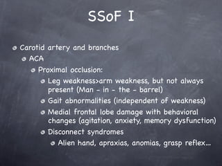 SSoF I
Carotid artery and branches
  ACA
     Proximal occlusion:
        Leg weakness>arm weakness, but not always
        present (Man - in - the - barrel)
        Gait abnormalities (independent of weakness)
        Medial frontal lobe damage with behavioral
        changes (agitation, anxiety, memory dysfunction)
        Disconnect syndromes
           Alien hand, apraxias, anomias, grasp reflex…
 
