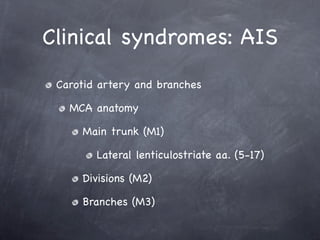 Clinical syndromes: AIS
 Carotid artery and branches

   MCA anatomy

     Main trunk (M1)

        Lateral lenticulostriate aa. (5-17)

     Divisions (M2)

     Branches (M3)
 